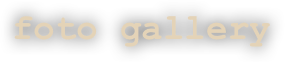 foto gallery